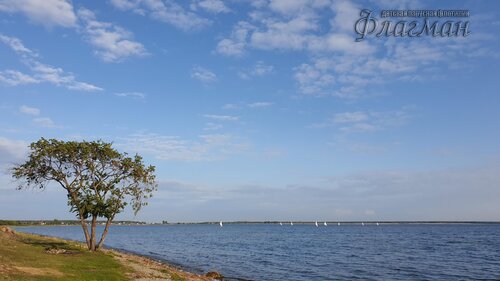 20190804_190416_r